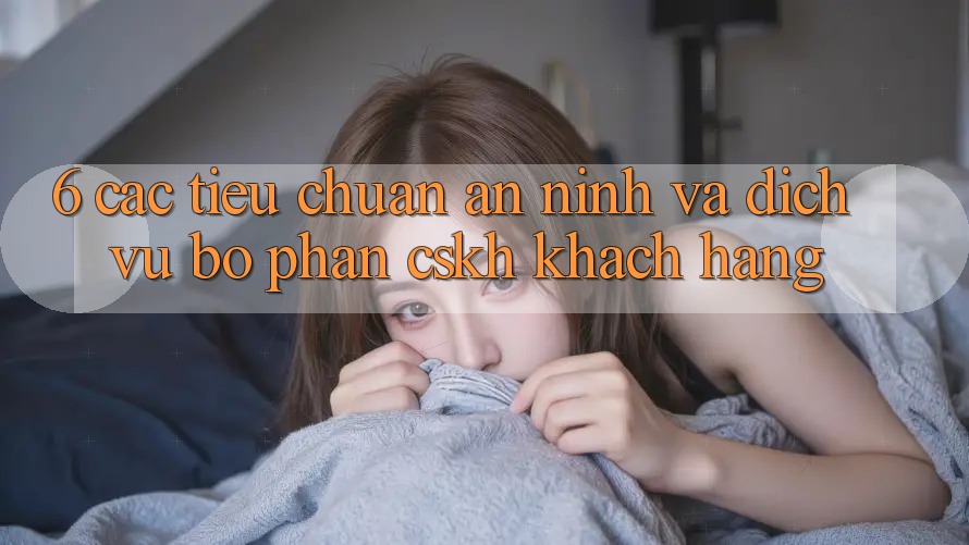6. Các Tiêu Chuẩn An ninh Và Dịch Vụ Bộ phận CSKH Khách Hàng 6. Các Tiêu Chuẩn An ninh Và Dịch Vụ Bộ phận CSKH Khách Hàng