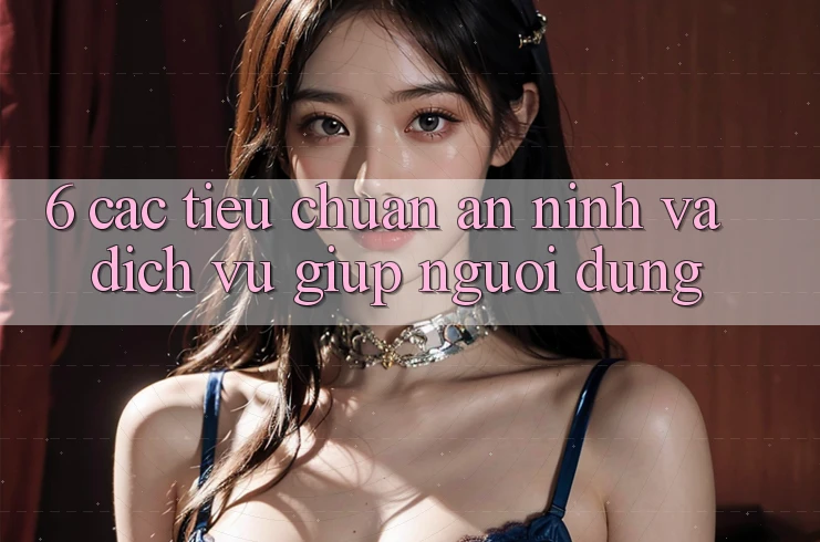6. Các Tiêu Chuẩn An ninh Và Dịch Vụ Giúp Người dùng