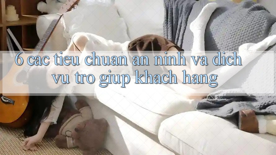 6. Các Tiêu Chuẩn An ninh Và Dịch Vụ Trợ giúp Khách Hàng