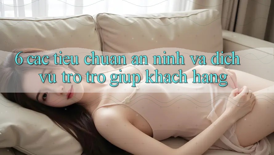 6. Các Tiêu Chuẩn An ninh Và Dịch Vụ Trợ trợ giúp Khách Hàng