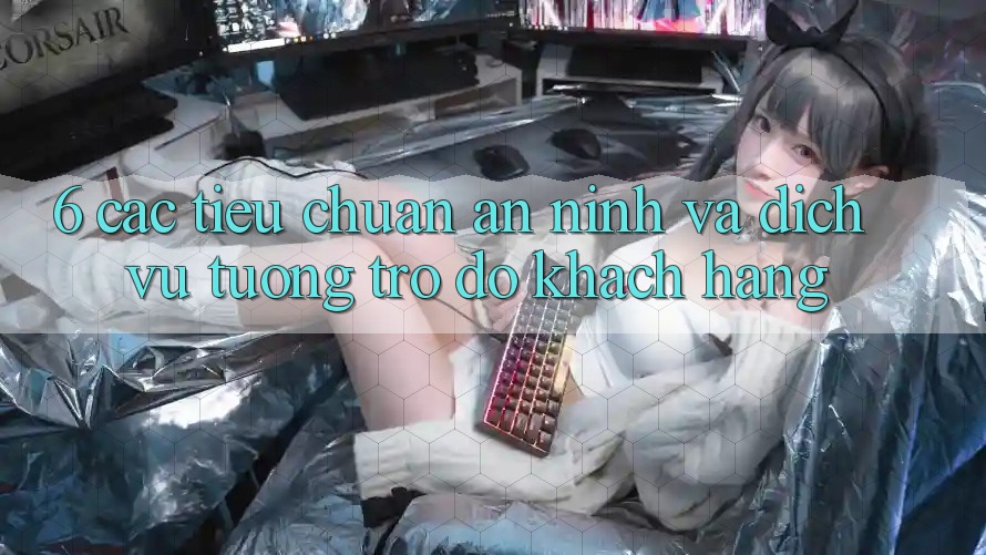 6. Các Tiêu Chuẩn An ninh Và Dịch Vụ Tương trợ đỡ Khách Hàng 6. Các Tiêu Chuẩn An ninh Và Dịch Vụ Tương trợ đỡ Khách Hàng