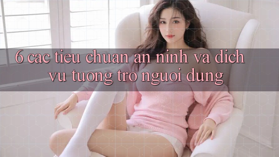 6. Các Tiêu Chuẩn An ninh Và Dịch Vụ Tương trợ Người dùng 6. Các Tiêu Chuẩn An ninh Và Dịch Vụ Tương trợ Người dùng