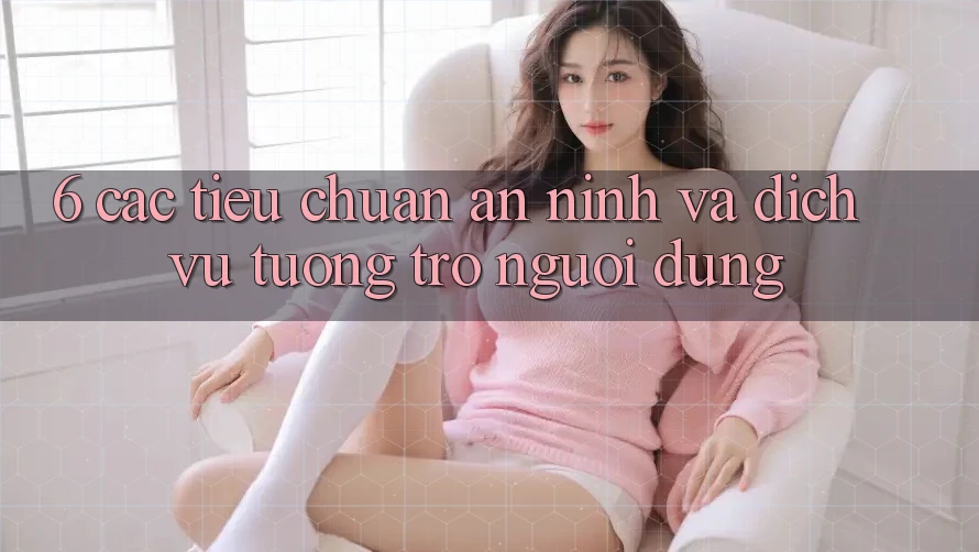 6. Các Tiêu Chuẩn An ninh Và Dịch Vụ Tương trợ Người dùng