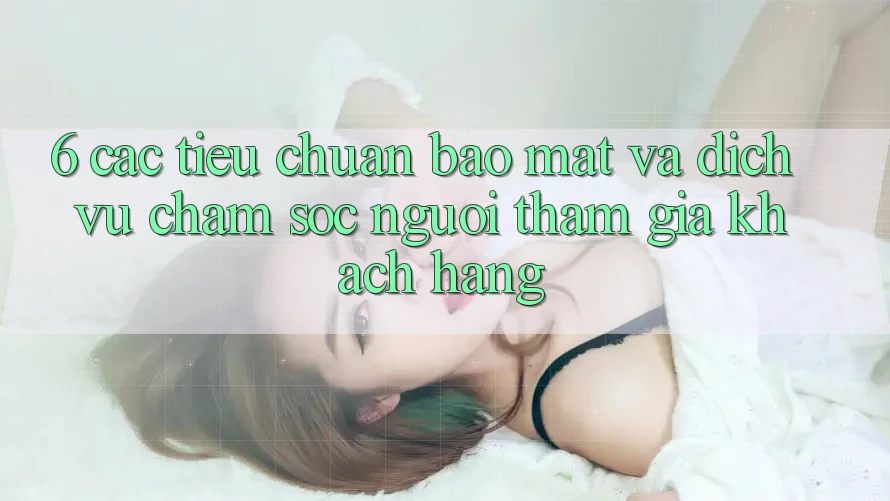 6. Các Tiêu Chuẩn Bảo Mật Và Dịch Vụ Chăm sóc người tham gia Khách Hàng 6. Các Tiêu Chuẩn Bảo Mật Và Dịch Vụ Chăm sóc người tham gia Khách Hàng