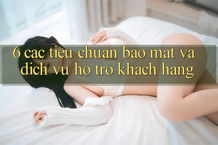 6. Các Tiêu Chuẩn Bảo Mật Và Dịch Vụ Hỗ Trợ Khách Hàng 6. Các Tiêu Chuẩn Bảo Mật Và Dịch Vụ Hỗ Trợ Khách Hàng