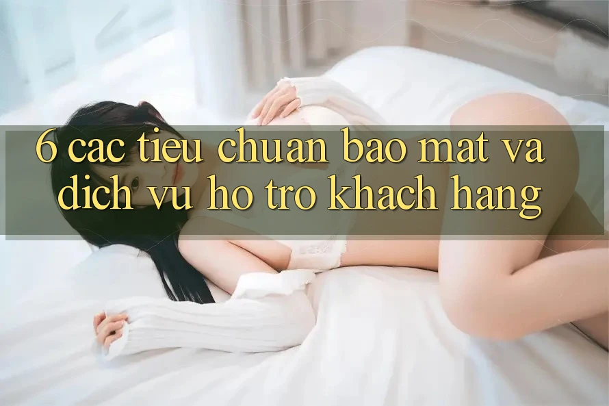 6. Các Tiêu Chuẩn Bảo Mật Và Dịch Vụ Hỗ trợ Khách Hàng 6. Các Tiêu Chuẩn Bảo Mật Và Dịch Vụ Hỗ trợ Khách Hàng