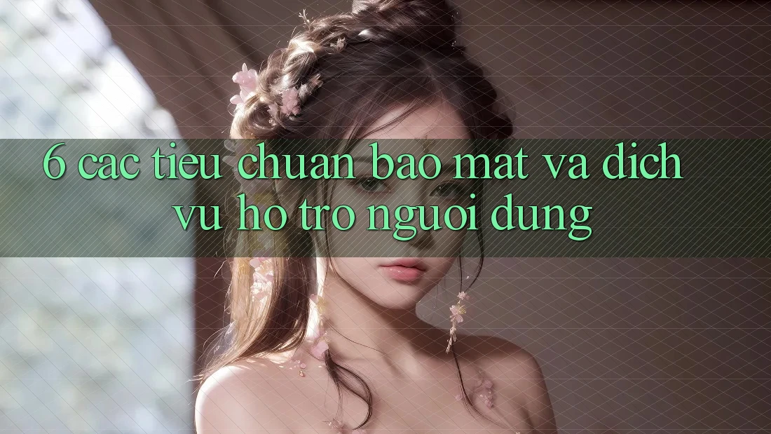 6. Các Tiêu Chuẩn Bảo Mật Và Dịch Vụ Hỗ Trợ Người dùng 6. Các Tiêu Chuẩn Bảo Mật Và Dịch Vụ Hỗ Trợ Người dùng