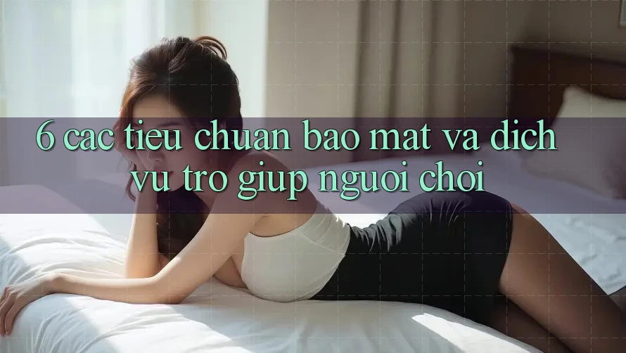 6. Các Tiêu Chuẩn Bảo Mật Và Dịch Vụ Trợ giúp Người chơi 6. Các Tiêu Chuẩn Bảo Mật Và Dịch Vụ Trợ giúp Người chơi