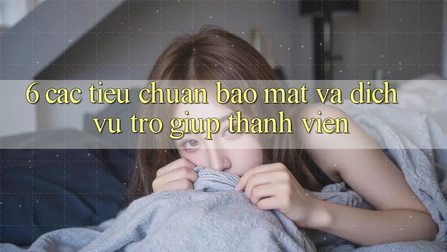6. Các Tiêu Chuẩn Bảo Mật Và Dịch Vụ Trợ giúp Thành viên 6. Các Tiêu Chuẩn Bảo Mật Và Dịch Vụ Trợ giúp Thành viên