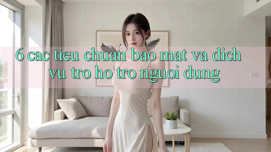 6. Các Tiêu Chuẩn Bảo Mật Và Dịch Vụ Trợ hỗ trợ Người dùng