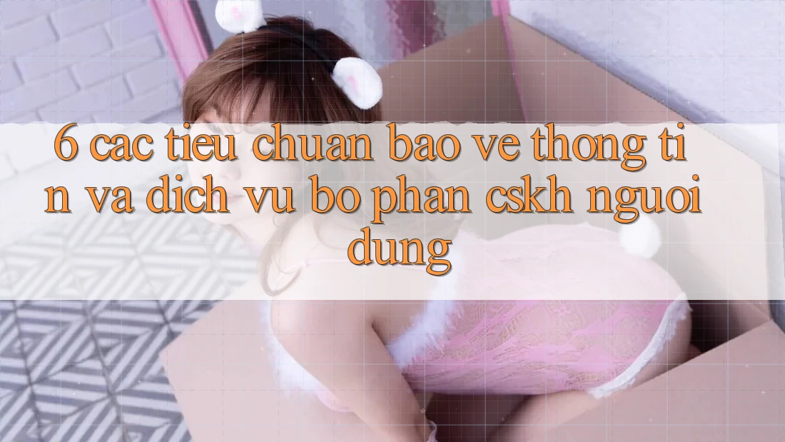 6. Các Tiêu Chuẩn Bảo vệ thông tin Và Dịch Vụ Bộ phận CSKH Người dùng