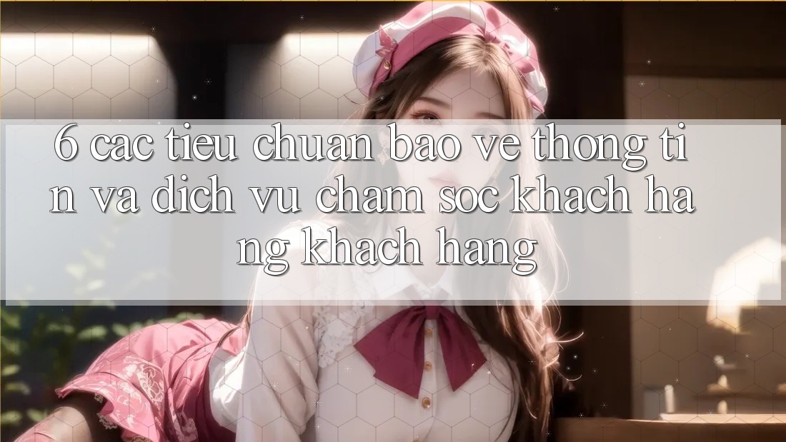 6. Các Tiêu Chuẩn Bảo vệ thông tin Và Dịch Vụ Chăm sóc khách hàng Khách Hàng 6. Các Tiêu Chuẩn Bảo vệ thông tin Và Dịch Vụ Chăm sóc khách hàng Khách Hàng