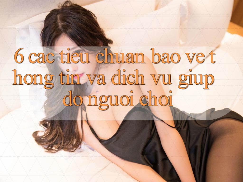 6. Các Tiêu Chuẩn Bảo vệ thông tin Và Dịch Vụ Giúp đỡ Người chơi