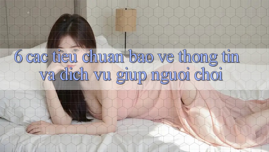 6. Các Tiêu Chuẩn Bảo vệ thông tin Và Dịch Vụ Giúp Người chơi