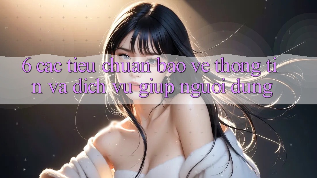 6. Các Tiêu Chuẩn Bảo vệ thông tin Và Dịch Vụ Giúp Người dùng