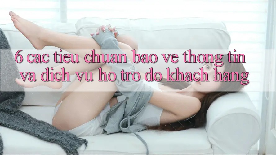 6. Các Tiêu Chuẩn Bảo vệ thông tin Và Dịch Vụ Hỗ trợ đỡ Khách hàng 6. Các Tiêu Chuẩn Bảo vệ thông tin Và Dịch Vụ Hỗ trợ đỡ Khách hàng