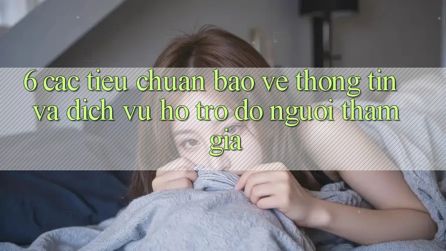 6. Các Tiêu Chuẩn Bảo vệ thông tin Và Dịch Vụ Hỗ trợ đỡ Người tham gia 6. Các Tiêu Chuẩn Bảo vệ thông tin Và Dịch Vụ Hỗ trợ đỡ Người tham gia
