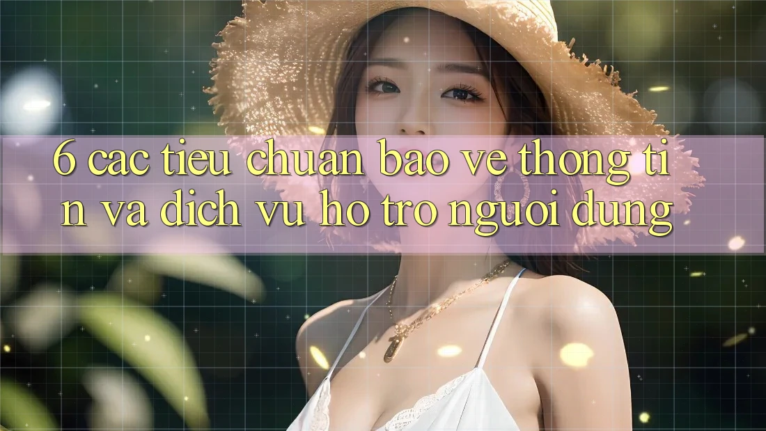 6. Các Tiêu Chuẩn Bảo vệ thông tin Và Dịch Vụ Hỗ Trợ Người dùng