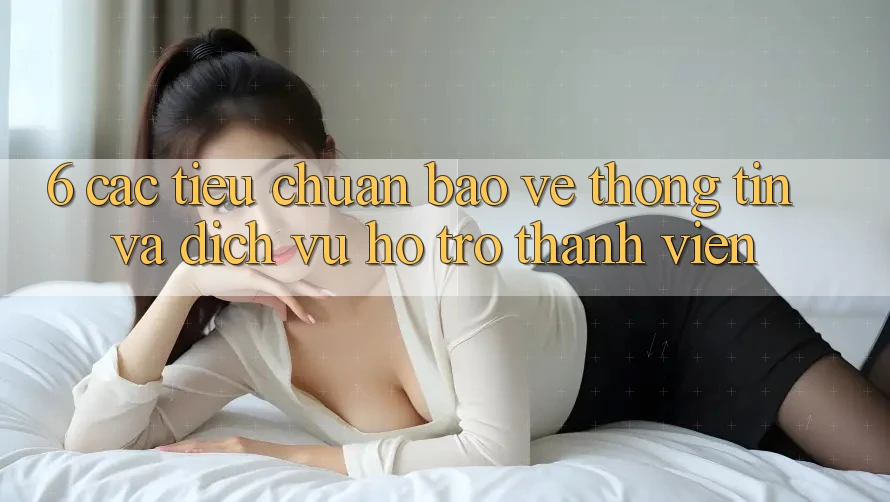 6. Các Tiêu Chuẩn Bảo vệ thông tin Và Dịch Vụ Hỗ Trợ Thành viên 6. Các Tiêu Chuẩn Bảo vệ thông tin Và Dịch Vụ Hỗ Trợ Thành viên