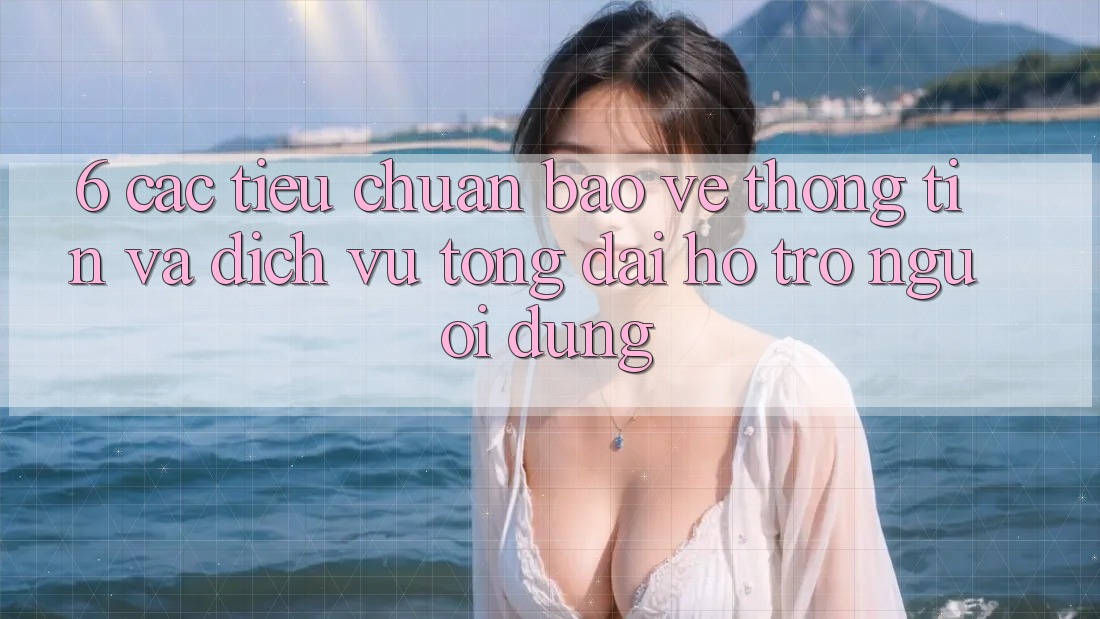 6. Các Tiêu Chuẩn Bảo vệ thông tin Và Dịch Vụ Tổng đài hỗ trợ Người dùng 6. Các Tiêu Chuẩn Bảo vệ thông tin Và Dịch Vụ Tổng đài hỗ trợ Người dùng