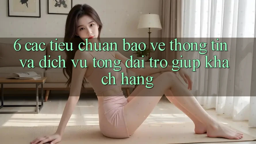 6. Các Tiêu Chuẩn Bảo vệ thông tin Và Dịch Vụ Tổng đài trợ giúp Khách Hàng