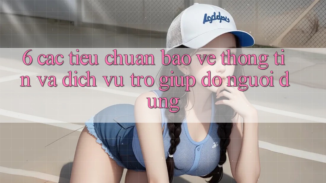 6. Các Tiêu Chuẩn Bảo vệ thông tin Và Dịch Vụ Trợ giúp đỡ Người dùng