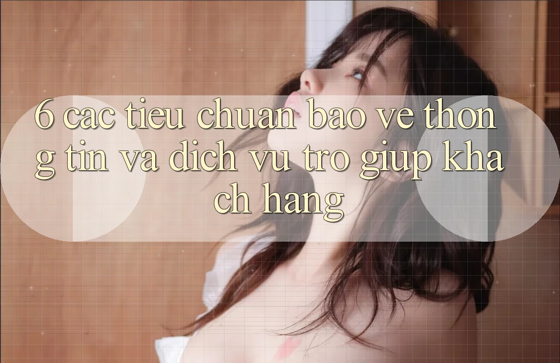 6. Các Tiêu Chuẩn Bảo vệ thông tin Và Dịch Vụ Trợ giúp Khách Hàng 6. Các Tiêu Chuẩn Bảo vệ thông tin Và Dịch Vụ Trợ giúp Khách Hàng