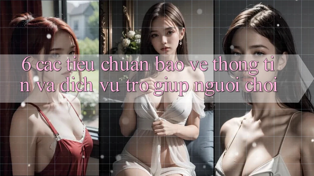 6. Các Tiêu Chuẩn Bảo vệ thông tin Và Dịch Vụ Trợ giúp Người chơi