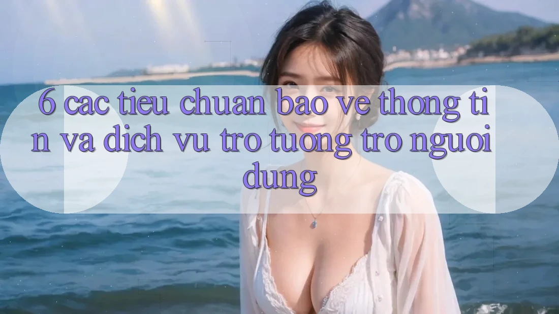 6. Các Tiêu Chuẩn Bảo vệ thông tin Và Dịch Vụ Trợ tương trợ Người dùng 6. Các Tiêu Chuẩn Bảo vệ thông tin Và Dịch Vụ Trợ tương trợ Người dùng