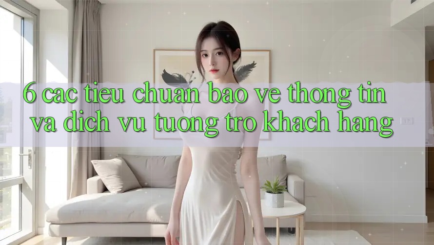6. Các Tiêu Chuẩn Bảo vệ thông tin Và Dịch Vụ Tương trợ Khách Hàng 6. Các Tiêu Chuẩn Bảo vệ thông tin Và Dịch Vụ Tương trợ Khách Hàng