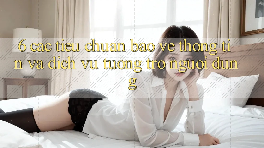 6. Các Tiêu Chuẩn Bảo vệ thông tin Và Dịch Vụ Tương trợ Người dùng 6. Các Tiêu Chuẩn Bảo vệ thông tin Và Dịch Vụ Tương trợ Người dùng