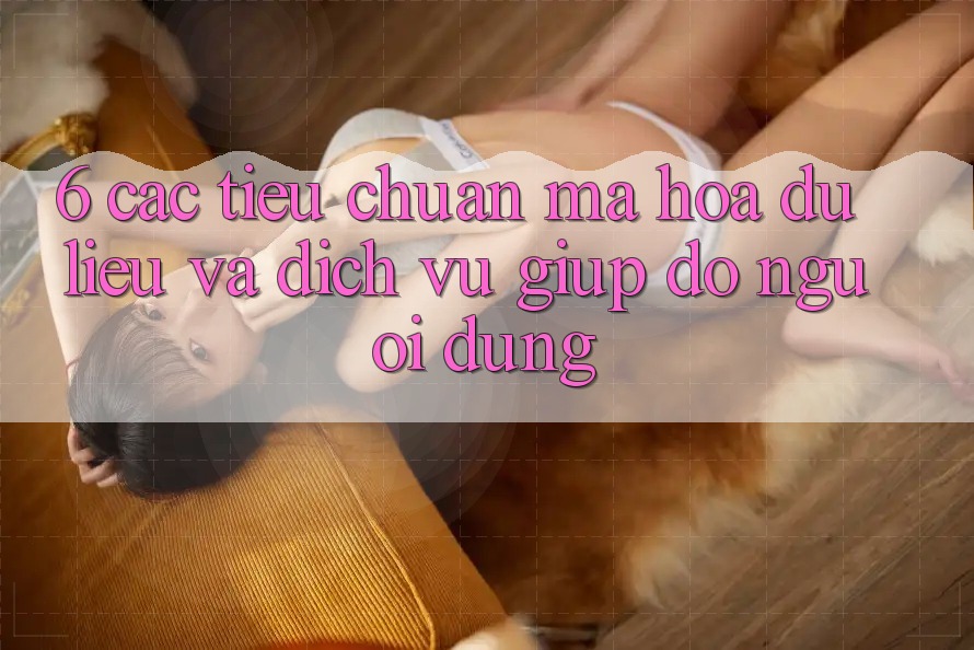 6. Các Tiêu Chuẩn Mã hóa dữ liệu Và Dịch Vụ Giúp đỡ Người dùng 6. Các Tiêu Chuẩn Mã hóa dữ liệu Và Dịch Vụ Giúp đỡ Người dùng