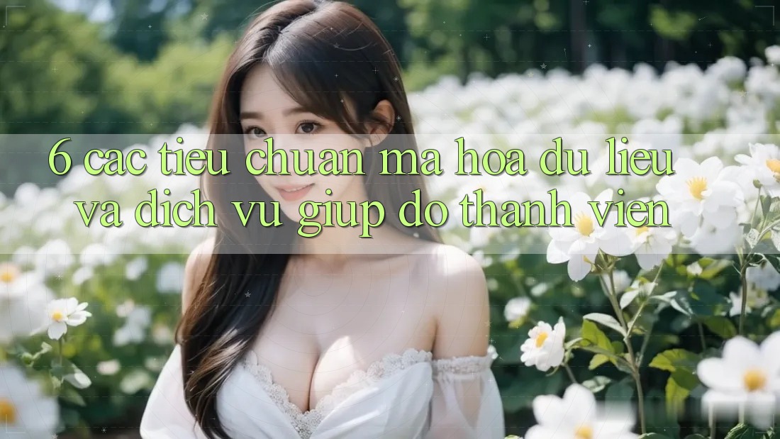 6. Các Tiêu Chuẩn Mã hóa dữ liệu Và Dịch Vụ Giúp đỡ Thành viên