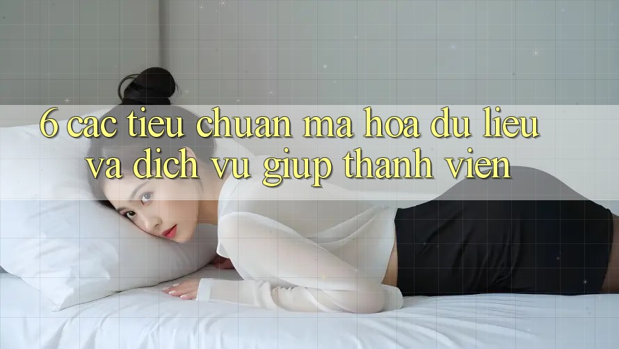 6. Các Tiêu Chuẩn Mã hóa dữ liệu Và Dịch Vụ Giúp Thành viên