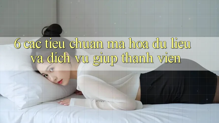 6. Các Tiêu Chuẩn Mã hóa dữ liệu Và Dịch Vụ Giúp Thành viên
