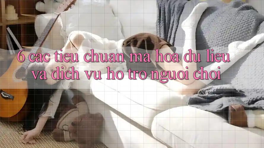6. Các Tiêu Chuẩn Mã hóa dữ liệu Và Dịch Vụ Hỗ trợ Người chơi 6. Các Tiêu Chuẩn Mã hóa dữ liệu Và Dịch Vụ Hỗ trợ Người chơi