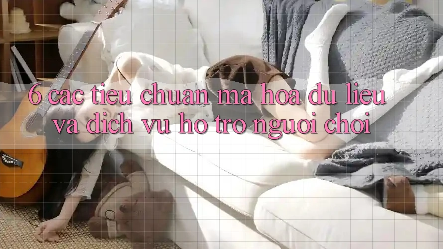 6. Các Tiêu Chuẩn Mã hóa dữ liệu Và Dịch Vụ Hỗ trợ Người chơi 6. Các Tiêu Chuẩn Mã hóa dữ liệu Và Dịch Vụ Hỗ trợ Người chơi
