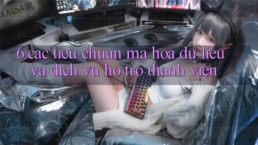 6. Các Tiêu Chuẩn Mã hóa dữ liệu Và Dịch Vụ Hỗ Trợ Thành viên 6. Các Tiêu Chuẩn Mã hóa dữ liệu Và Dịch Vụ Hỗ Trợ Thành viên