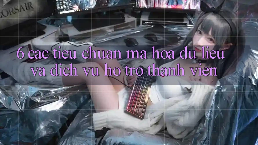 6. Các Tiêu Chuẩn Mã hóa dữ liệu Và Dịch Vụ Hỗ Trợ Thành viên