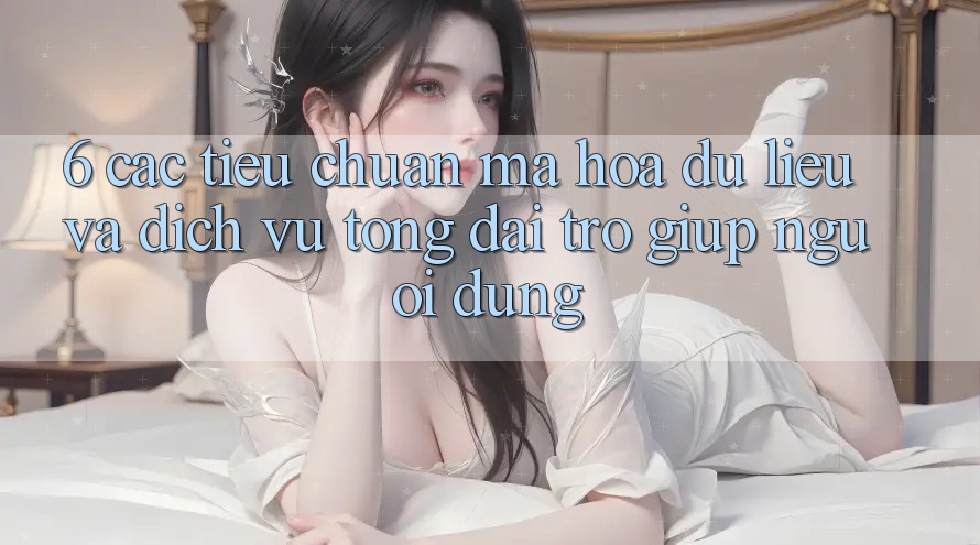 6. Các Tiêu Chuẩn Mã hóa dữ liệu Và Dịch Vụ Tổng đài trợ giúp Người dùng 6. Các Tiêu Chuẩn Mã hóa dữ liệu Và Dịch Vụ Tổng đài trợ giúp Người dùng
