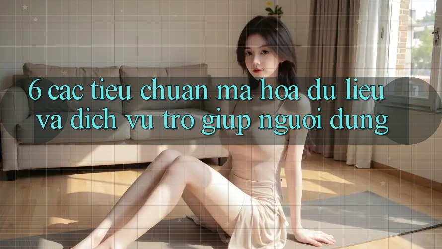 6. Các Tiêu Chuẩn Mã hóa dữ liệu Và Dịch Vụ Trợ giúp Người dùng 6. Các Tiêu Chuẩn Mã hóa dữ liệu Và Dịch Vụ Trợ giúp Người dùng