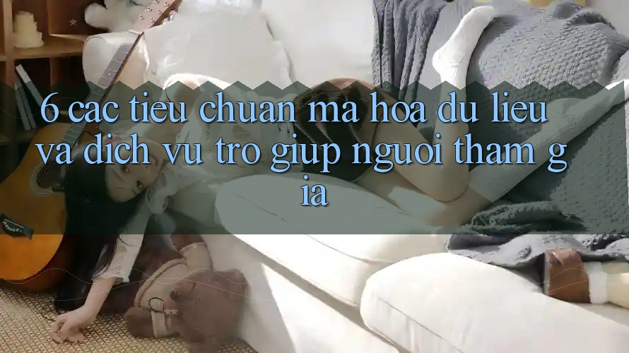 6. Các Tiêu Chuẩn Mã hóa dữ liệu Và Dịch Vụ Trợ giúp Người tham gia 6. Các Tiêu Chuẩn Mã hóa dữ liệu Và Dịch Vụ Trợ giúp Người tham gia