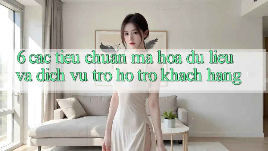 6. Các Tiêu Chuẩn Mã hóa dữ liệu Và Dịch Vụ Trợ hỗ trợ Khách Hàng 6. Các Tiêu Chuẩn Mã hóa dữ liệu Và Dịch Vụ Trợ hỗ trợ Khách Hàng