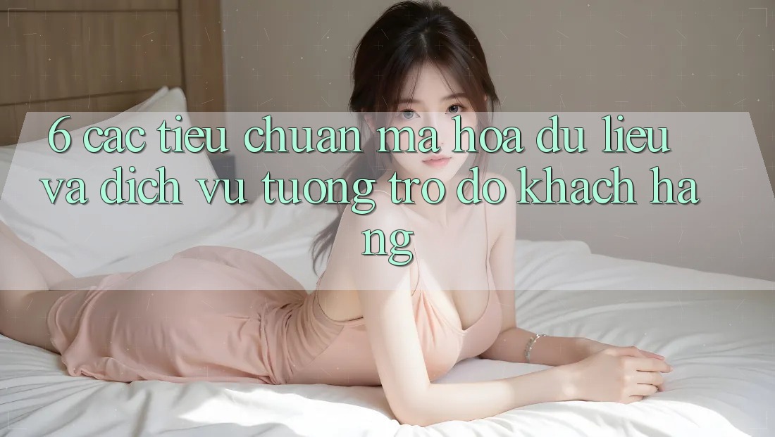 6. Các Tiêu Chuẩn Mã hóa dữ liệu Và Dịch Vụ Tương trợ đỡ Khách Hàng 6. Các Tiêu Chuẩn Mã hóa dữ liệu Và Dịch Vụ Tương trợ đỡ Khách Hàng