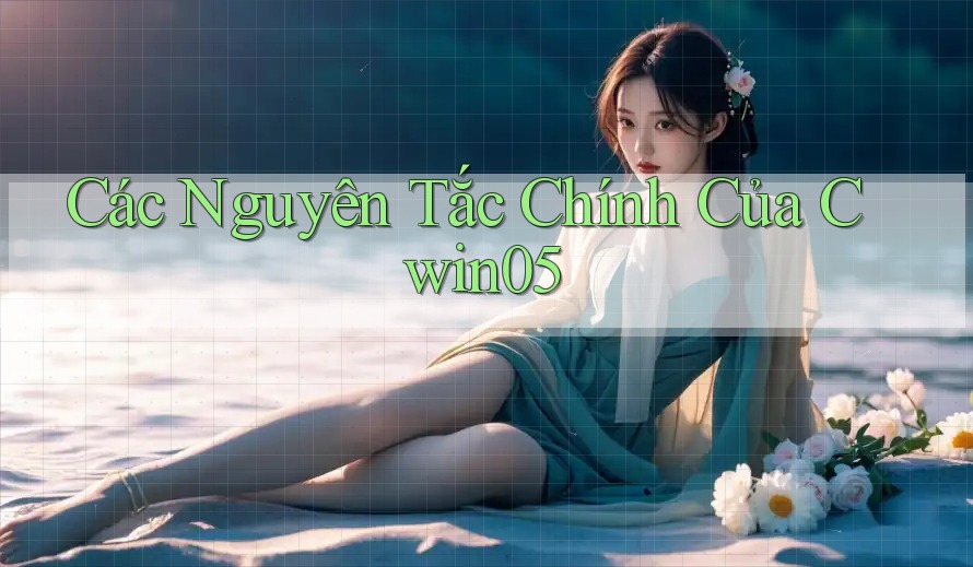 Các Nguyên Tắc Chính Của Cwin05 Các Nguyên Tắc Chính Của Cwin05