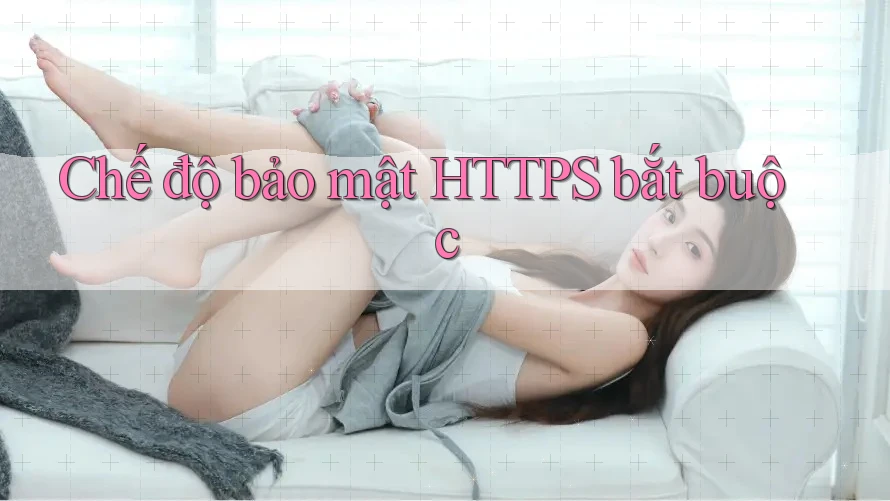 Chế độ bảo mật HTTPS bắt buộc Chế độ bảo mật HTTPS bắt buộc