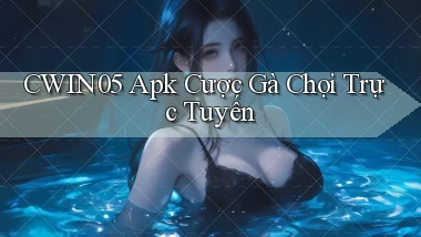 cwin05  apk cược gà chọi trực tuyến