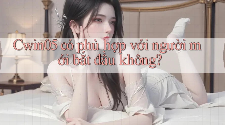 cwin05 có phù hợp với người mới bắt đầu không?