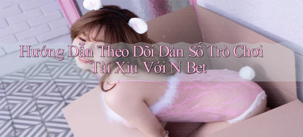 hướng dẫn theo dõi dàn số trò chơi tài xỉu với n bet