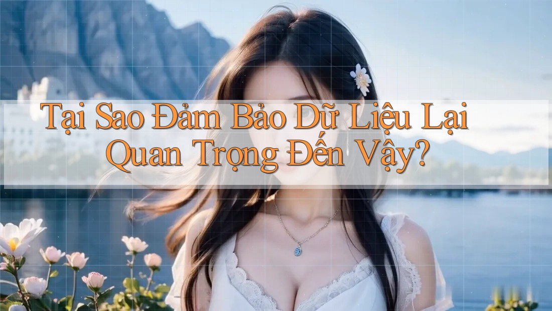 Tại Sao Đảm Bảo Dữ Liệu Lại Quan Trọng Đến Vậy?